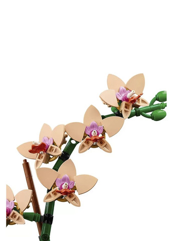 Конструктор Icons - Мини орхидея (10343) цвет разноцветный ЦБ-00269176 Lego (315717986)