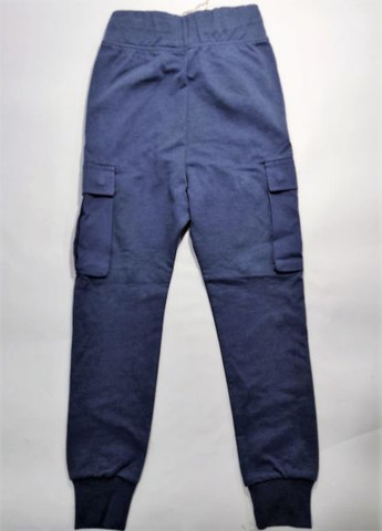 Синие демисезонные брюки Manai