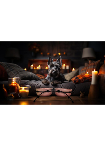 Керамічні миски на металевій стійці, 810мл (Ø15см) Рожеві Ferplast (353687864)