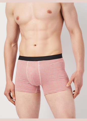 Труси (3шт) Basic Collection (295079755)