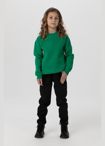 Mago світшот однотонний дитячий t360 104 см (2000990168900w) shop (2000990168900) однотонний зелений повсякденний