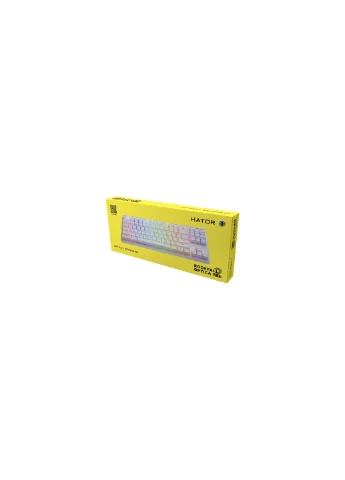 Клавиатура (HTK731) Hator Rockfall 2 Optica TKL Black USB White (276706442)