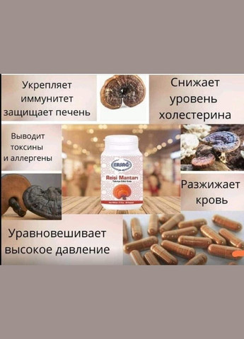 Гриб РЕЙШЕ 60 капсул от ERSAG (329436490)