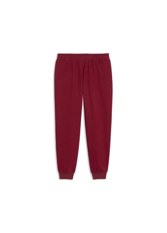 Штани Essentials Script Sweatpants Women Puma (402614622)