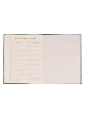 Щоденник шкільний Sneakers А5 Різнокольоровий 40 аркушів (911654) Yes (346484198)