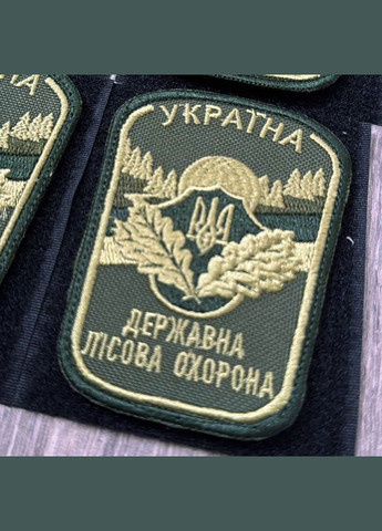 Шеврон Государственная лесная охрана Украины олива No Brand (336381928)