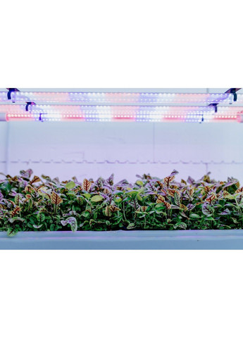 Установка "Hibrid4.0" Зелений Шеф (302316679)