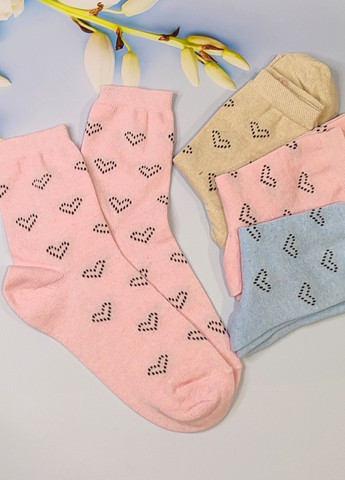 Комбіновані шкарпетки жіночі 6 пар ws 229/6 р.36-40 XTeam сердечка (351581672)