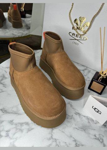 Уг Угги Платформ Мини Диппер Оранжевые Platform Classic Mini Dipper Chestnut UGG (303404007)