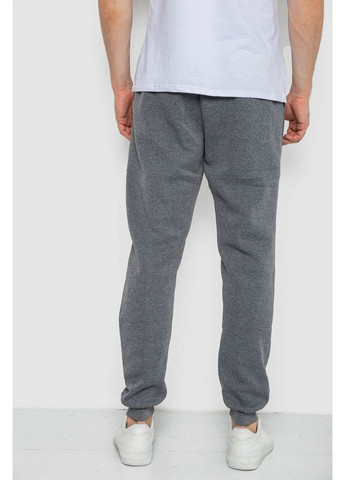 Спортивні штани чоловічі на флісі, колір сірий, 244ROP09 Ager (315134126)