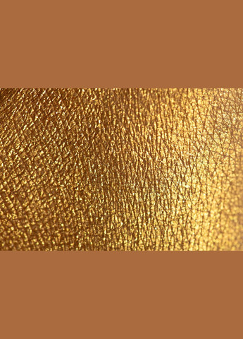 Тіні color exstasy ES026 - Насичений золотий колір, 4г PROVG (302227877)