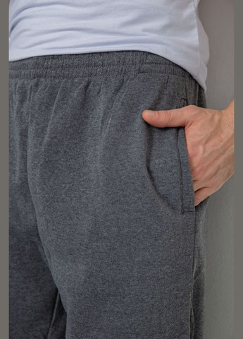 Серые спортивные, кэжуал демисезонные брюки Ager