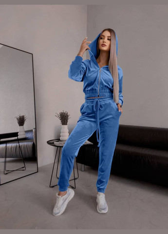 Спортивний велюровий костюм  popluzhnaya (316067624)