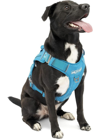 Шлей для собак County Harness Размер S (813146019788) Kurgo (288576641)