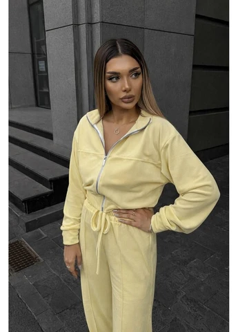 Велюровый костюм двойка No Brand (389023616)
