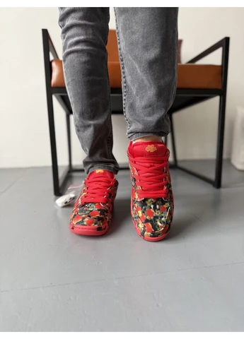 Комбіновані літні кросівки nike the wizard of oz x sb dunk low найк сб данк No Brand