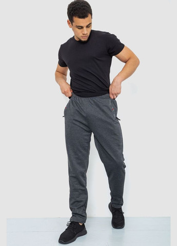 Темно-серые спортивные демисезонные брюки Ager