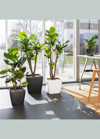 Вазон Quadro Premium LS 28, сіро-коричневий (A-013591) Lechuza (317268816)