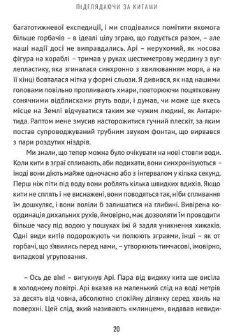 Подглядывая за китами. Прошлое, настоящее и будущее самых больших в мире животных. Пайенсон Ник Видавництво "Апріорі" (354252929)