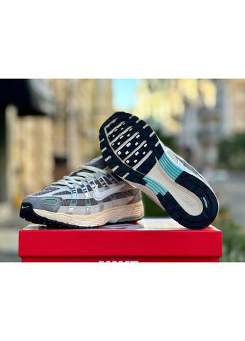 КРОСІВКИ ЖІНОЧІ NIKE P-6000 FLAT PEWTER НАЙК П-6000 No Brand комбіновані демісезони (367168312)