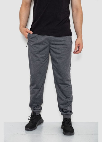 Темно-серые спортивные демисезонные брюки Ager