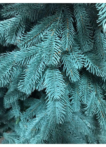 Искусственная пушистая елка Элит (высота 2.10 м) литая (Голубая) No Brand (332637377)
