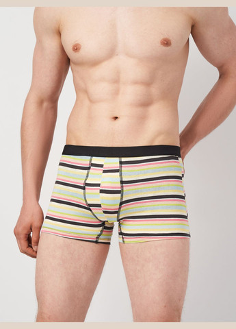 Труси (3шт) Basic Collection (295404422)