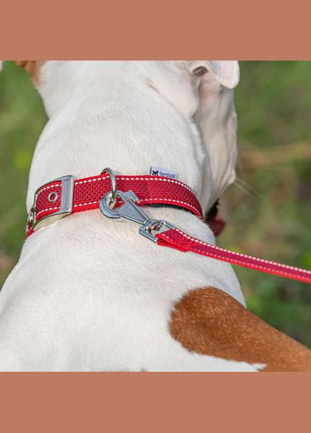 Поводок для собак DAYTONA DELUXE C25/53 RE-BL CO Ferplast (335587149)