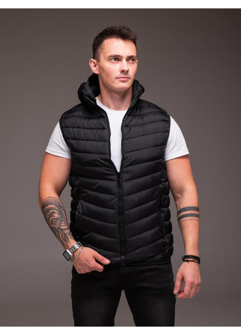 Жилет мужской утепленный съемный капюшон No Brand (362234406)