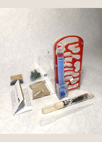 Муравьиная ферма (формикарий) вертикальная (красная) + муравьи-жнецы. Полный комплект No Brand AntTown (314827856)