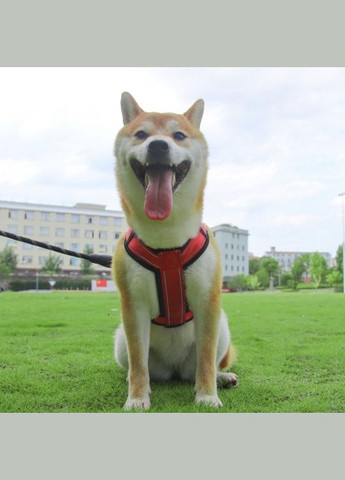 Шлейка для котов и кошек Pet Style "2 кольца" Красная L No Brand - (323233208)