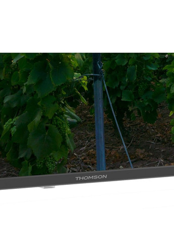 Телевизор 55QA2S13 Thomson (322505005)