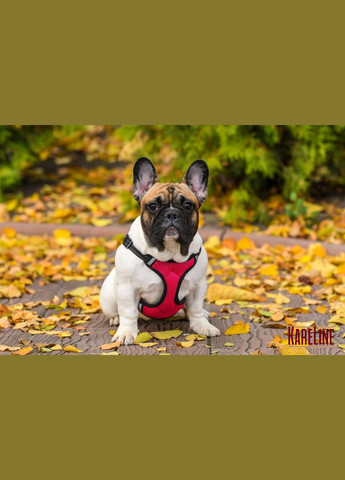 Шлей нагрудник из нейлона со светоотражающими элементами и пластиковой пряжкой 10 мм. Kareline (339075602)