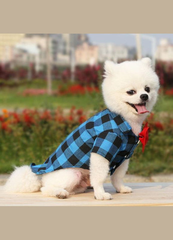 Сорочка для котів Pet Style "Метелик" Синя S No Brand - (323235479)