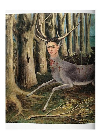 Книга Frida Kahlo (9783836500852) Taschen (364656270)