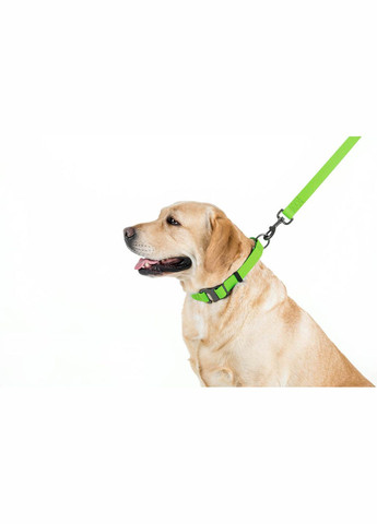 Повідець для собак водостійкий Waterproof Ш 15 мм Д 122 см Салатовий WAUDOG (322328000)