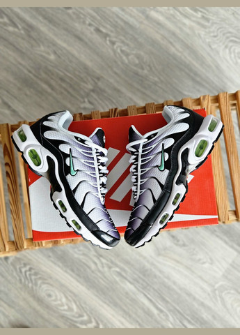 Кросівки жіночі і чоловічі Nike air max Tn plus gray | Найк Аір макс ТН плюс сірі No Brand сірі демісезони (307288657)