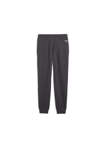 Серые спортивные демисезонные брюки Puma