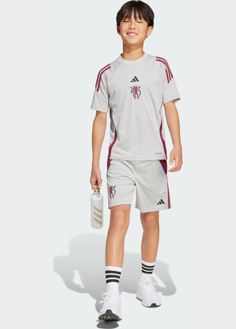 Тренувальні шорти Jude Bellingham Kids adidas (354820645)