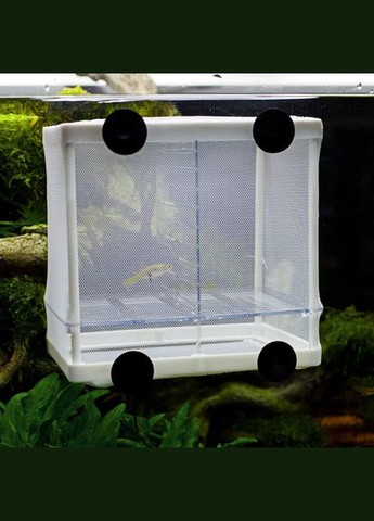 Відсадник для риб Nido 3.1 16x16x14см Hobby (322711576)