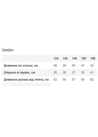 Серый демисезонный лонгслив No Brand