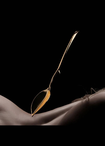 Скребок-ложка для воска низкотемпературной свечи UPKO золотой No Brand (303909302)