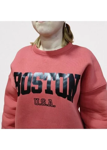 Костюм женский спортивный флис світшот штаны терракотовый No Brand (375254690)