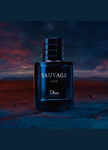 Чоловіча парфумована вода Homme Intense 100 мл Dior (278773689)