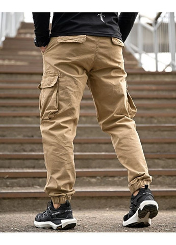 Койот демисезонные брюки No Brand