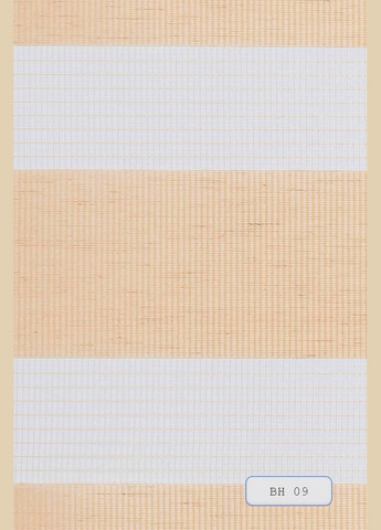 Роллеты День Ночь Жалюзи Рулонная штора День-Ночь Коричнева No Brand (340669688)