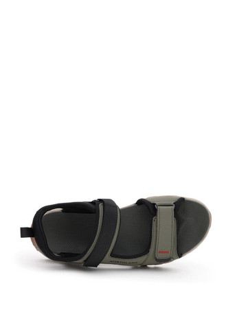 Чоловічі Сандалі 114719-Y3 Зелений Штуч. шкіра Northland (292398375)