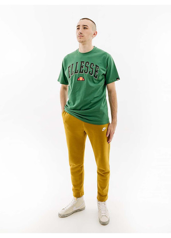 Зелена чоловіча футболка colombia 2 tee зелений Ellesse