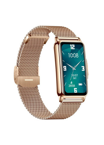 Smart Mioband Nano+ Gold, 2 ремешка UWatch (346529863)