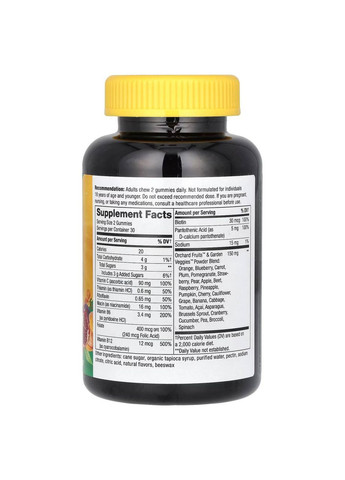 Alive!, повний комплекс вітамінів групи B, смак манго, 60 жувальних таблеток Nature's Way (370135440)